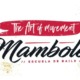 Mambolei - Escuela de Baile